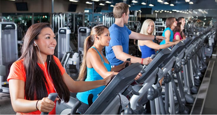 Fitness 19 Logo