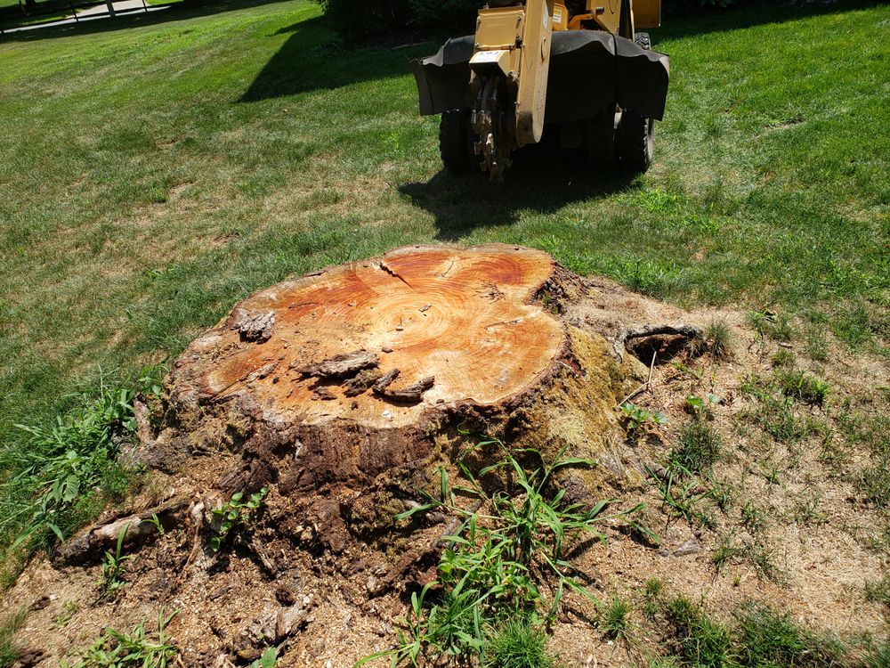 BIG ED’S STUMP GRINDING SERVICE Updated September 2024 Request a