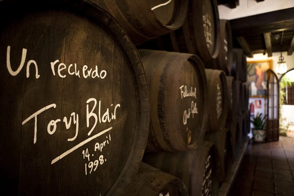 Bodegas Campos by null