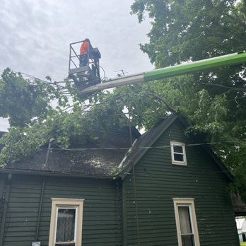 Airbourne Tree Service - Storm work - Landscaping Near Me Airbourne Tree Service - Storm work - Landscaping Near Me