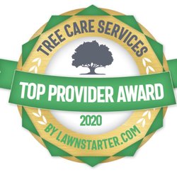 10 Star Tree Care