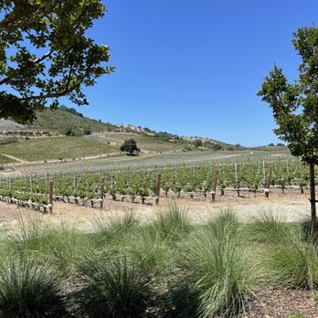 Parrish Family Vineyard - View from outdoor patio - Wine Tasting Room Near Me - Paso Robles, California Parrish Family Vineyard - View from outdoor patio - Wine Tasting Room Near Me - Paso Robles, California