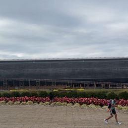 Ark