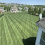 Wildchilds Lawncare Business