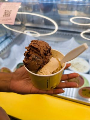 Van Leeuwen Ice Cream by null
