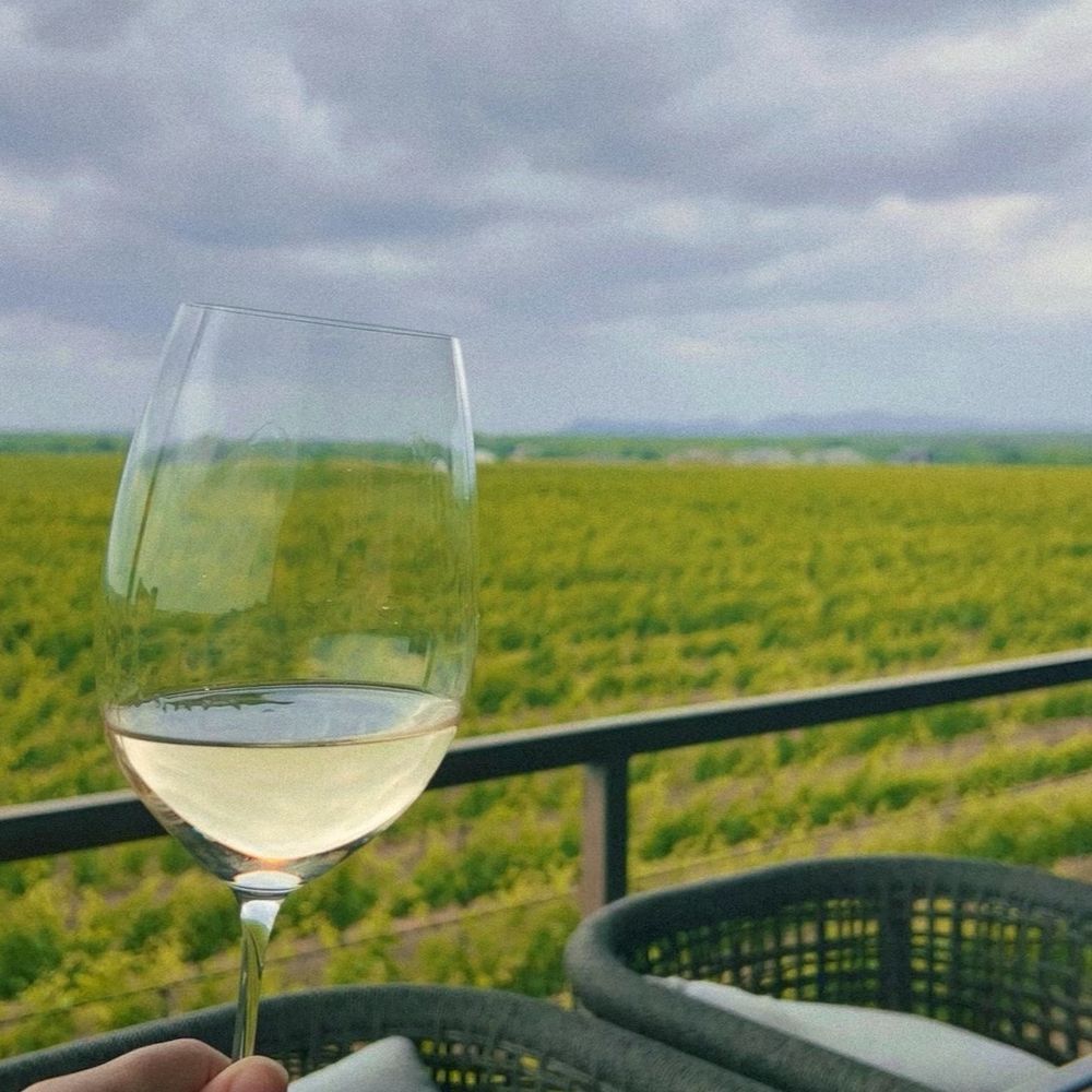 Uplift Vineyard - Mouvedre glass with vineyard view on second level patio - Wineries Near Me - Burnet, Texas Uplift Vineyard - Mouvedre glass with vineyard view on second level patio - Wineries Near Me - Burnet, Texas