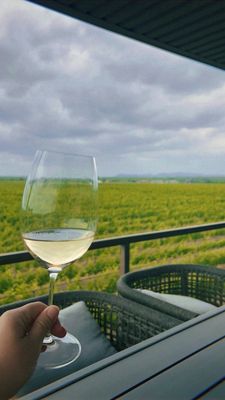 Uplift Vineyard by null