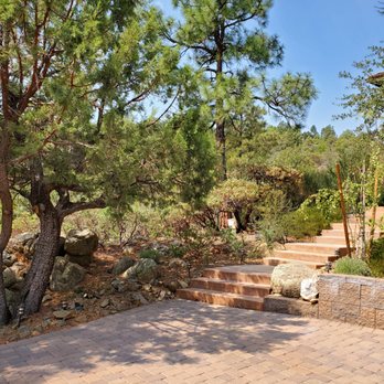 Precision Arbor - Tree Services Near Me Precision Arbor - Tree Services Near Me