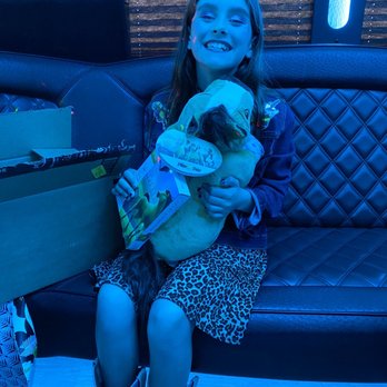 Black Onyx Limo - Party Bus Rentals Near Me - El Cajon, California