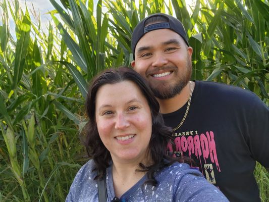 Cool Patch Pumpkins by null