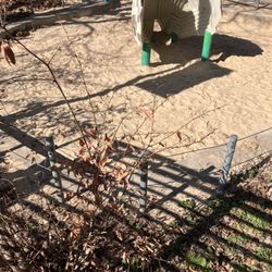 Chelsea Waterside Dog Park