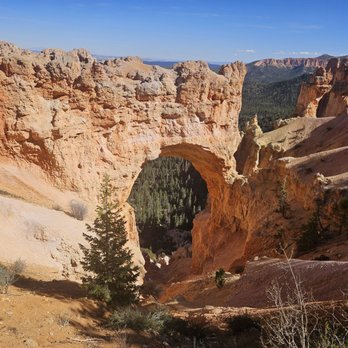 Natural Bridge - The natural bridge - Landmarks & Historical Buildings Near Me - Bryce, Utah