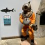 Photo of Aquarium Of Boise