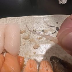 Nigiri Sushi Bar & Restaurant - SPINES IN SUSHI!!! A huge one!!