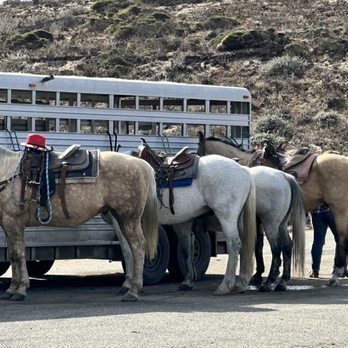 Monterey Bay Equestrian Center - Horseback Riding Near Me - Castroville, California Monterey Bay Equestrian Center - Horseback Riding Near Me - Castroville, California