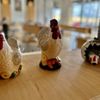 Chook gift card