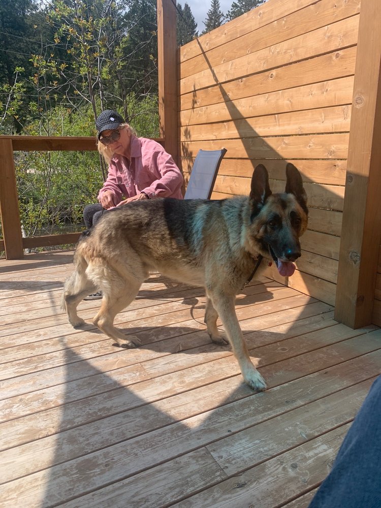 KITTREDGE ANIMAL CLINIC Updated September 2024 20 Reviews 26390