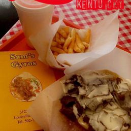 Lamb Gyro Combo
