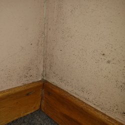 Mindemoya Motel