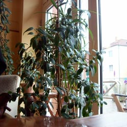Café de Büx