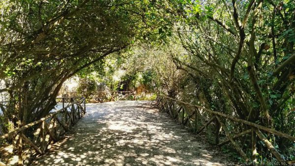 Latomie del Paradiso by null