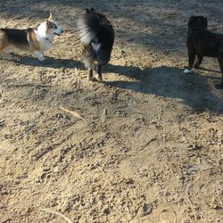 GGP Dog Training Area