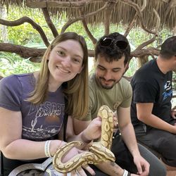 Zoological Wildlife Foundation