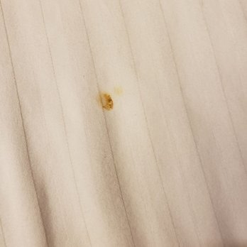 Rodeway Inn & Suites Canyon Lake I-15 - Brown stuff on pillows!! - Hotels Near Me - Canyon Lake, California Rodeway Inn & Suites Canyon Lake I-15 - Brown stuff on pillows!! - Hotels Near Me - Canyon Lake, California