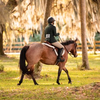 Canter Down Farms - Horseback Riding Near Me - New Smyrna Beach, Florida Canter Down Farms - Horseback Riding Near Me - New Smyrna Beach, Florida