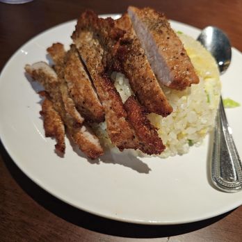 Ugly Dumpling - Pork chop over rice - very good - Chinese Near Me - Morris Plains, New Jersey