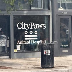 CityPaws Animal Hospital