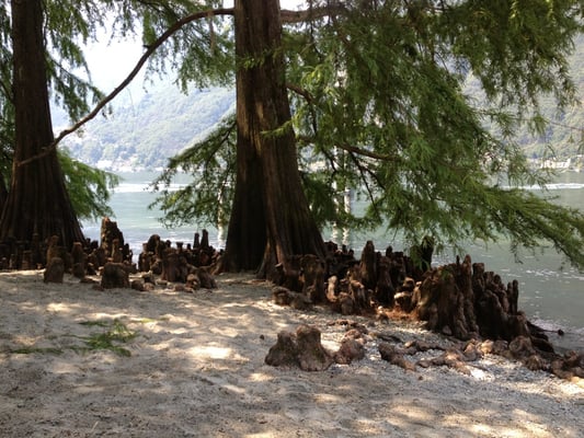 Isole di Brissago by null