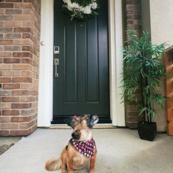 Dapper Dog Spa - Pet Groomers Near Me - Whittier, California Dapper Dog Spa - Pet Groomers Near Me - Whittier, California