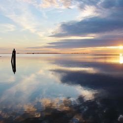 Safari Dolphin Tours - Talk about an Outer Banks Sunset get front row seats aboard the Safari Dolphin Boat!