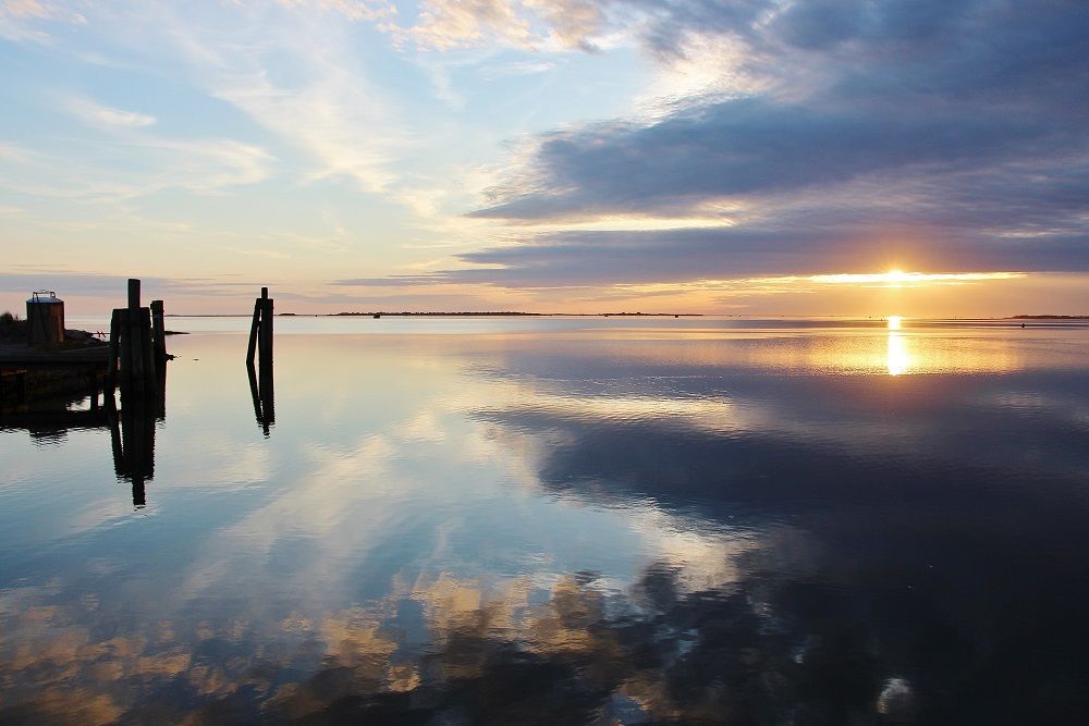 Safari Dolphin Tours