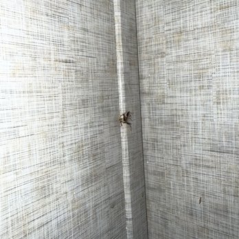 Hawks RV Park - Here are said roaches! - RV Parks Near Me - Shelby, Alabama Hawks RV Park - Here are said roaches! - RV Parks Near Me - Shelby, Alabama
