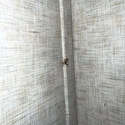 Hawks RV Park - Here are said roaches!