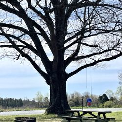 Wise Ridge Country Store - Beautiful spot next to store for family picnic