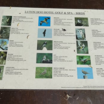 Luton Hoo Hotel Golf & Spa - Birds that can be seen on site - Hotels Near Me - Luton, LUT