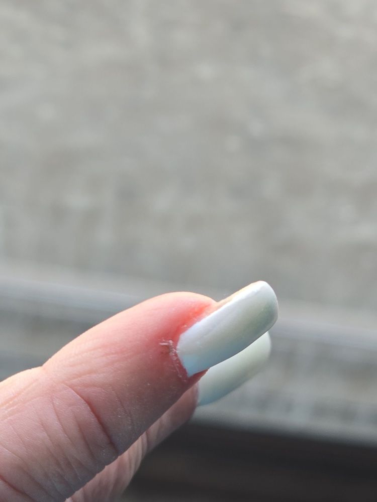 Nail Touch Logo