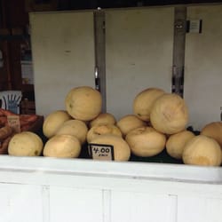 Local Farmers Market - Cantaloupe!