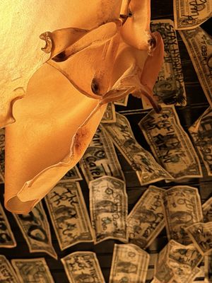 Mama Dearest by null