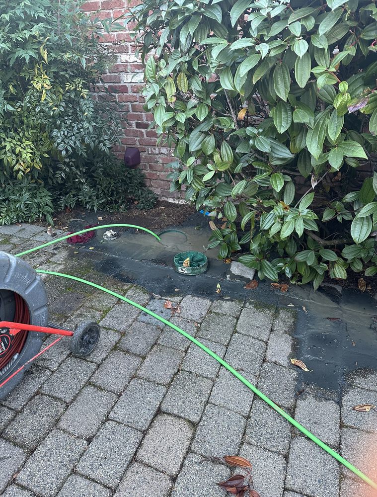 Slide of Knight Rooter