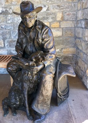 Napa Valley Tours & Transportation by null