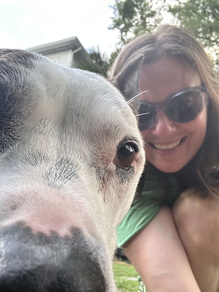 Pet Squad NE - pet boarding facility in Greenfield, MA