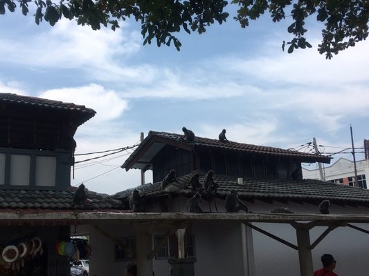 Malawati Hill بوكيت ملاوتي by null