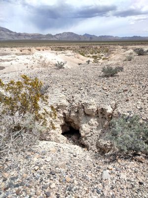 Tule Springs Fossil Beds National Monument by null