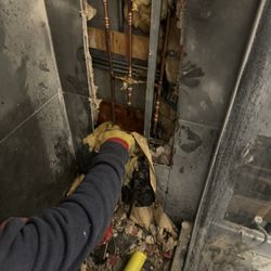 Reel Restoration Contractors