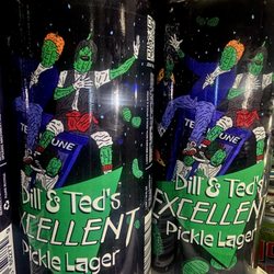 Fieldwork - Dill & Ted's Excellent Pickle Lager