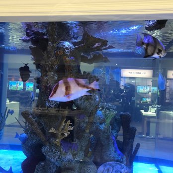 Abt - Electronics Near Me - Glenview, Illinois
